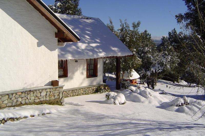 Cabanas & Aparts Lancuyen, Villa De Montana Villa La Angostura Bilik gambar